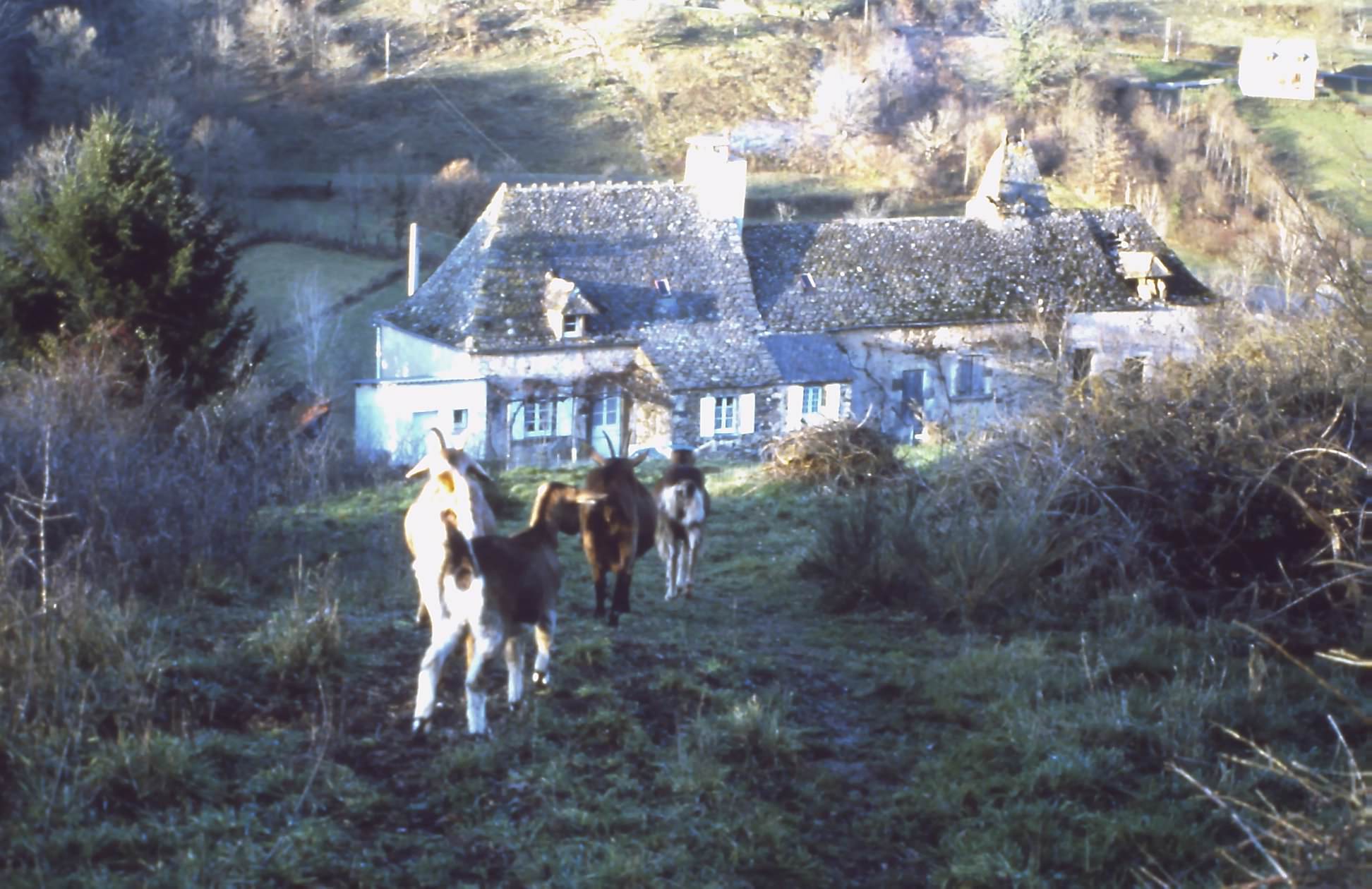 Histoire et patrimoine Commune de Prévinquières